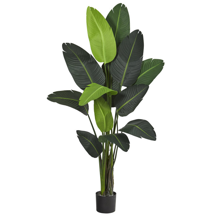 Faux Banana Leaf Tree in Pot Liner & Reviews AllModern
